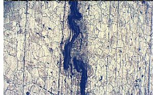 676de20b8e.jpg 78EC5C25798D41048E16435FBE227CC9.jpg